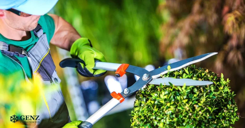 precios actualizados por servicio de jardinería en Uruguay